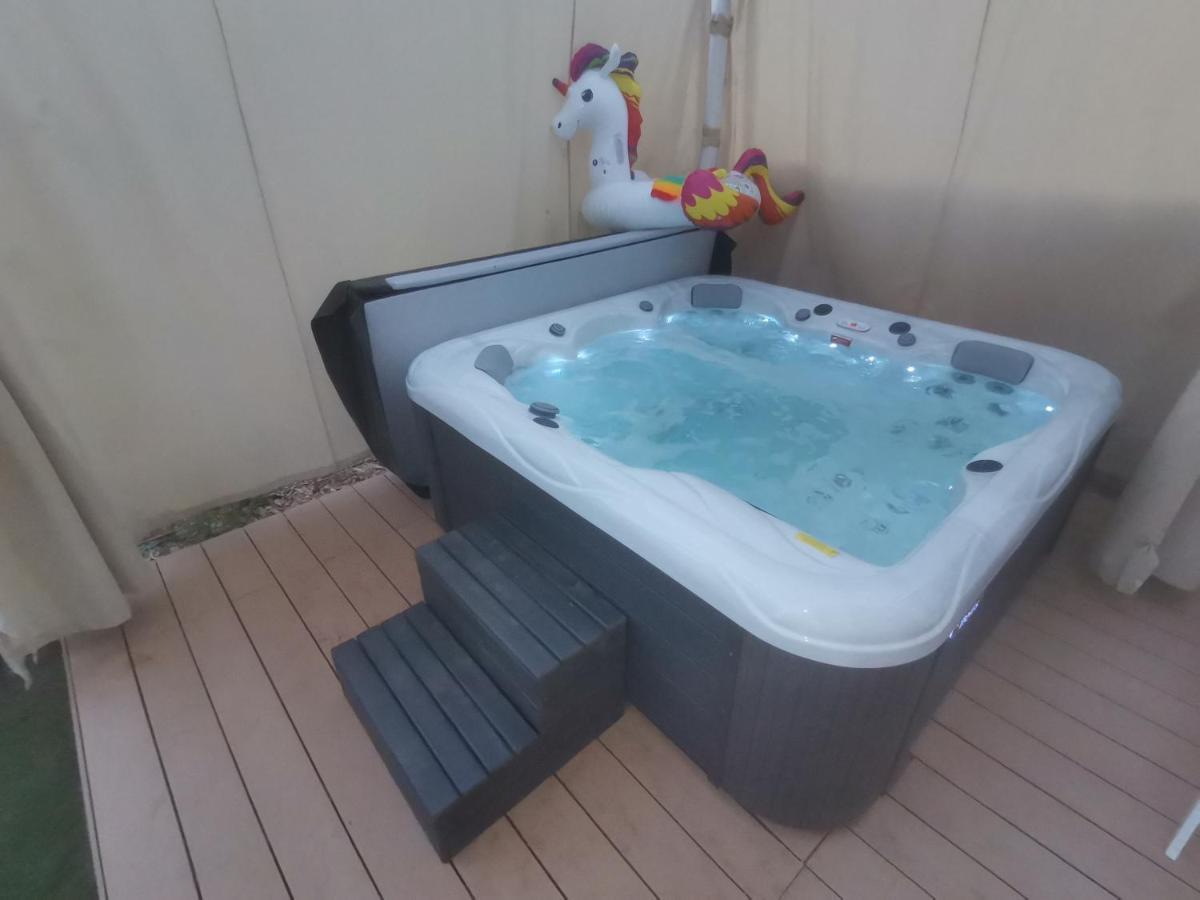 Apartman Hola Novigrad  Zewnętrze zdjęcie