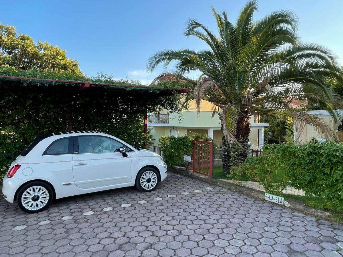 Apartman Hola Novigrad  Zewnętrze zdjęcie
