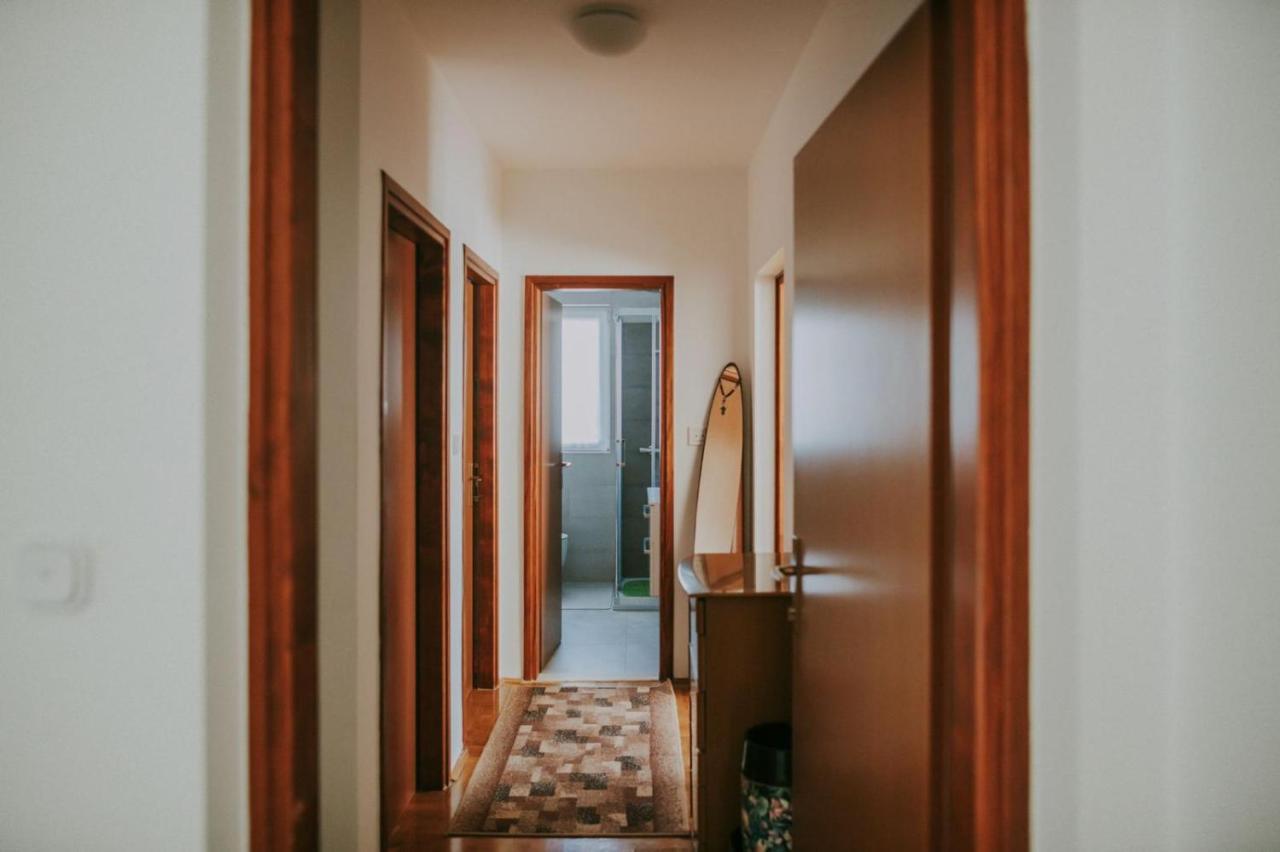 Apartman Hola Novigrad  Zewnętrze zdjęcie